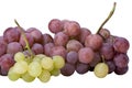 White and red grapes Royalty Free Stock Photo