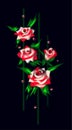 white and red Roses on balck background