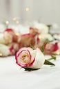 White and Red Roses with Fairy Lights