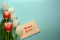 White and red tulips with envelope on a light turquoise background Royalty Free Stock Photo