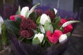 White and red tulips, white Veronica [Hebe], green juniper
