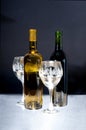 White and red wine bottles Royalty Free Stock Photo