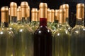 White & Red Wine Bottles Royalty Free Stock Photo