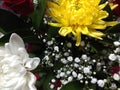 White red and yellow flowers for a thank you all year round Royalty Free Stock Photo