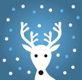 White reindeer, snowflakes on blue background