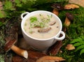 White Restaurant Plate with Cream Boletus Mushroom Soup Royalty Free Stock Photo