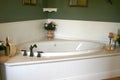 White Retro Bathtub