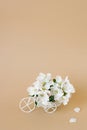 A white retro toy bicycle delivering white apple blossoms on a beige background Royalty Free Stock Photo