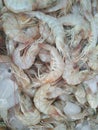 White rever prawn fish