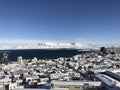 White Reykjavik