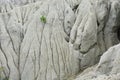 White rhyolite tuff formations in Hungary Royalty Free Stock Photo