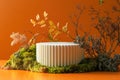 White ribbed podium surrounded by moss and dry branches Royalty Free Stock Photo