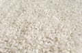 White rice background texture, long grain natural rice, jasmine rice close-up Royalty Free Stock Photo