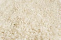 White rice background texture, long grain natural rice, jasmine rice close-up Royalty Free Stock Photo