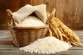 Rice Harvest Abundance Royalty Free Stock Photo