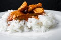 White rice and bbq chicken on a plate. Asian style food. Selective focus. Black background Royalty Free Stock Photo