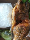 White rice dish with fish side dishes