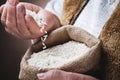 White rice in old hand Royalty Free Stock Photo