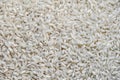 Rice grains closeup - many rice beans - rice pattern banner - kitchen wallpaper Royalty Free Stock Photo