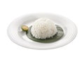 White rice