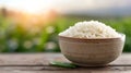 White Rice With Sunset Time Background Royalty Free Stock Photo
