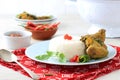 White Rice with Yellow Spiced Chicken Royalty Free Stock Photo