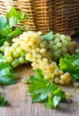 White ripe grape clusters Royalty Free Stock Photo