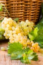 White ripe grape clusters Royalty Free Stock Photo