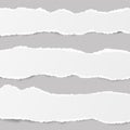 White ripped blank horizontal note paper strips for text or message stuck on gray background. Royalty Free Stock Photo