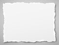 White ripped notebook paper, torn note paper stuck on grey squared background with soft shadow. Vector illustration Royalty Free Stock Photo