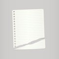 White ripped ruled note, notebook paper on grey background