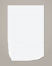 White ripped squared notebook, copybook paper sheet are on grey background. Vector illustration