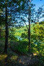 White River Bull Shoals State Park