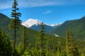 White River Valley at Mount Rainier National Park, USA Royalty Free Stock Photo