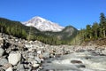 White river on the way to Mt. Rainier in the background