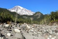 White river on the way to Mt. Rainier in the background