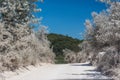 White road to Asos village. Cephalonia, Greece.