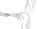 White robotic hand touches DNA chain. 3d rendering