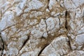 White rock surface texture with mud closeup abstract background Royalty Free Stock Photo