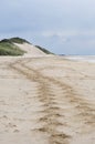 White Rocks Beach, Portrush, Northern Ireland Royalty Free Stock Photo