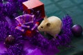 White rodent on a dark green background of Christmas decorations. background for design. Happy New Year 2020
