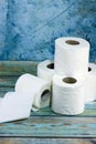 Rolls of toilet paper. Toilett object tools