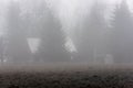 A white roof of an old cottage between trees in a forest in a fog Royalty Free Stock Photo