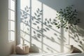 white room with a window and two potted plants Royalty Free Stock Photo