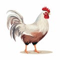 Colorful Rooster Illustration On White Background