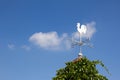 White rooster weather vane show the wind direction on blue sky Royalty Free Stock Photo