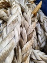 white rope with a binding fiber that binds on the boat 5