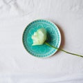 White rose on an azure plate