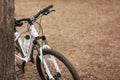 White and rose bicycle settled to the tree in the park. Royalty Free Stock Photo