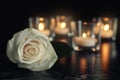 White rose and blurred burning candles on table Royalty Free Stock Photo